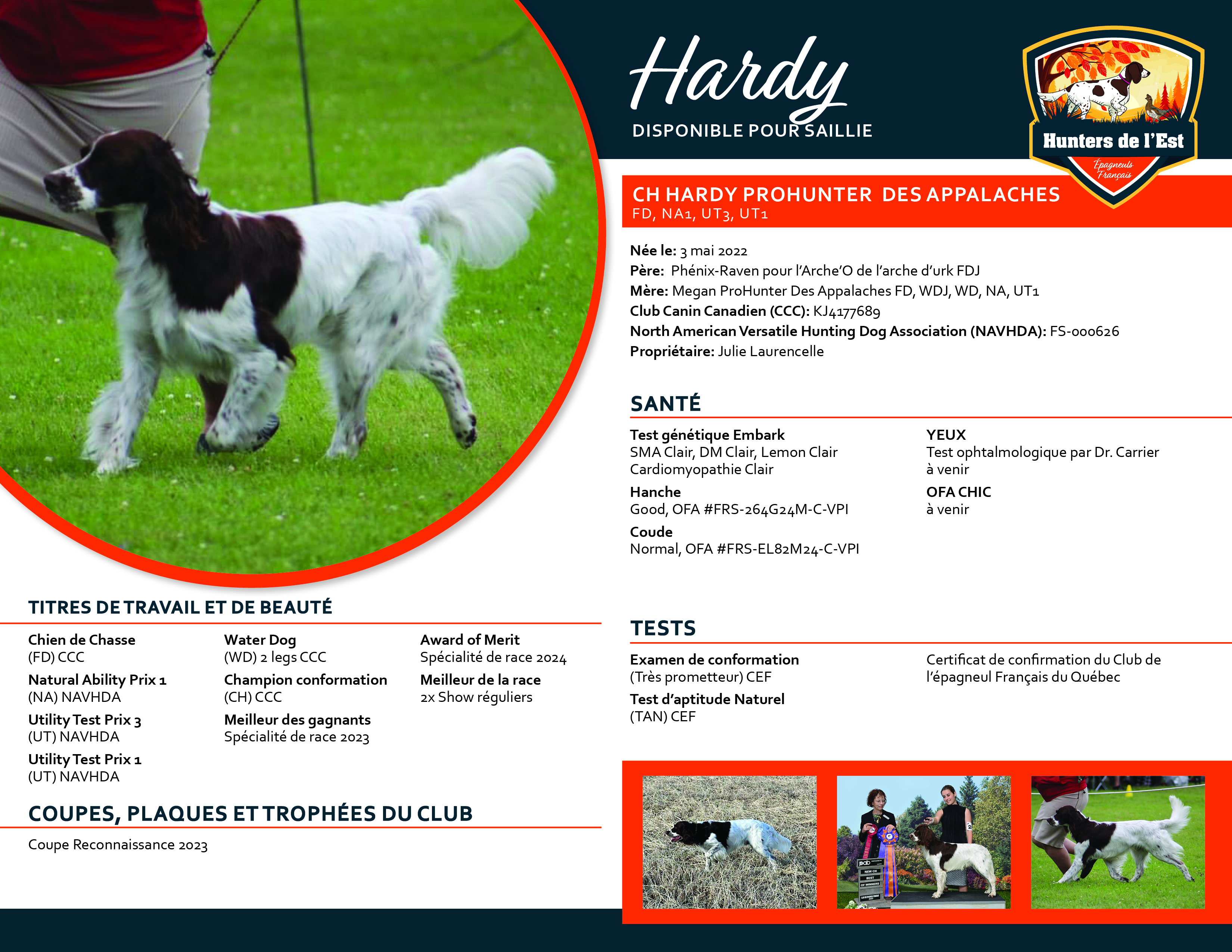 Hardy reproducteur épagneul français